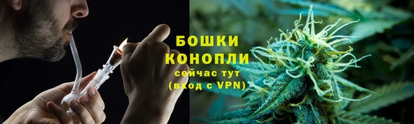 ешки Тында